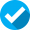Check Mark Icon 2