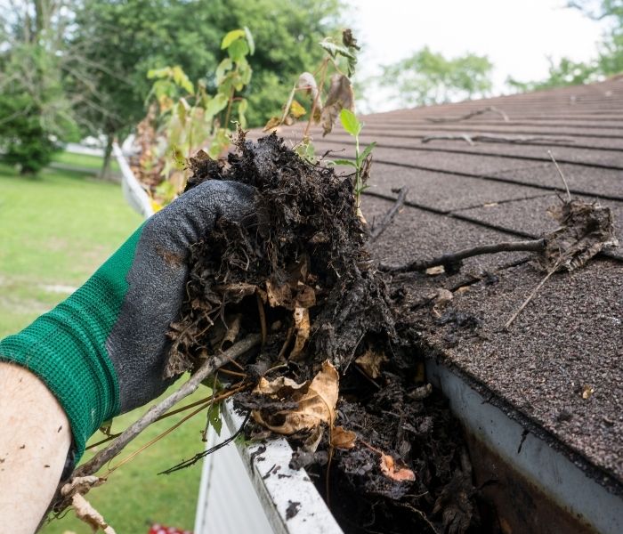 Affordable Gutter Cleaning