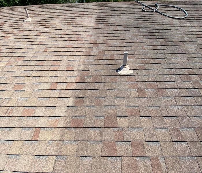 Professional Roof Cleaning